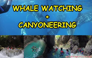 Whale Watching & Canyooneering