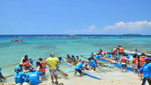 Oslob (Whale Watching)